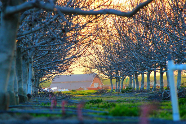 网站攻击工具手机版