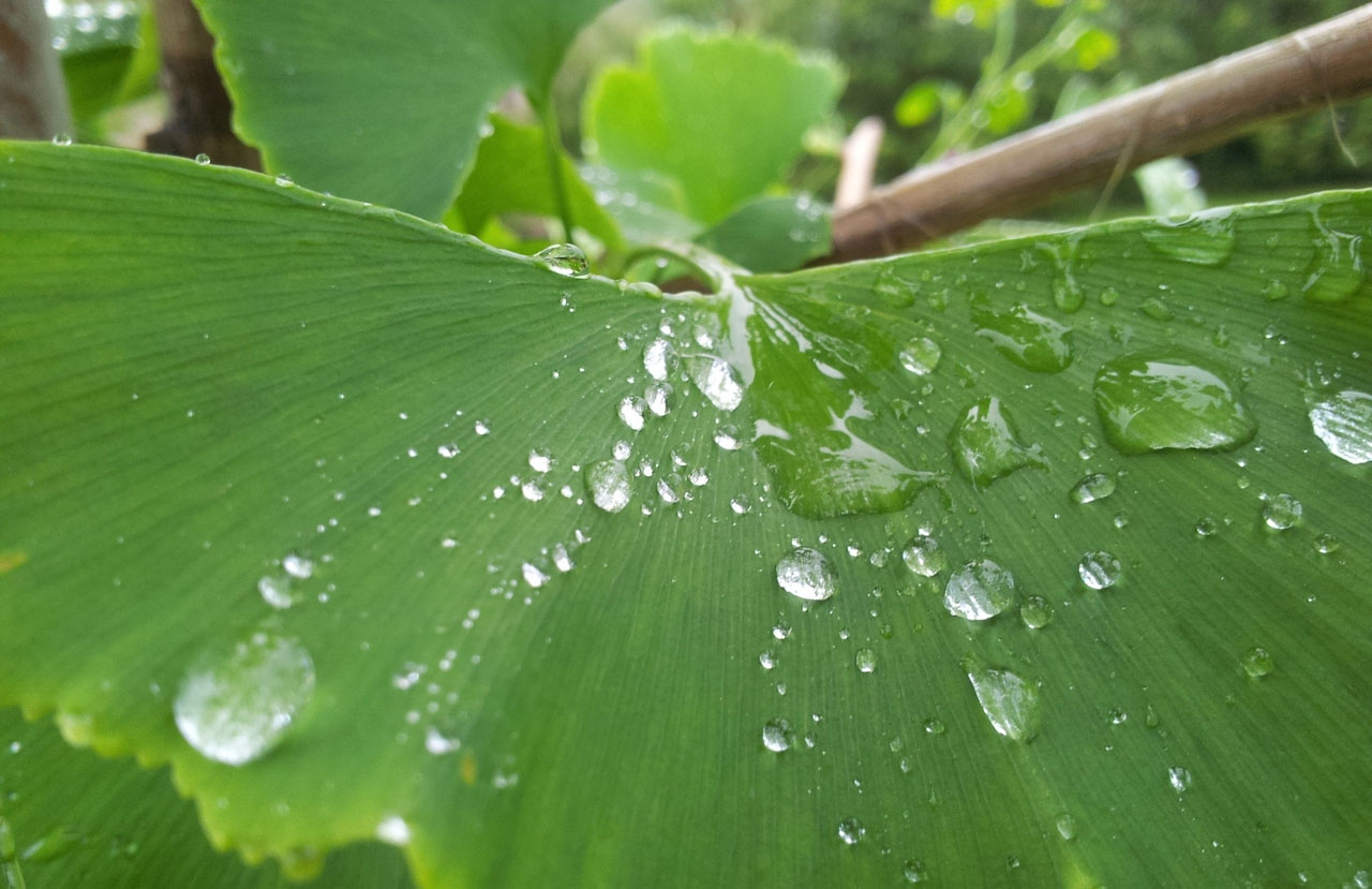 ddos攻击在哪能买到